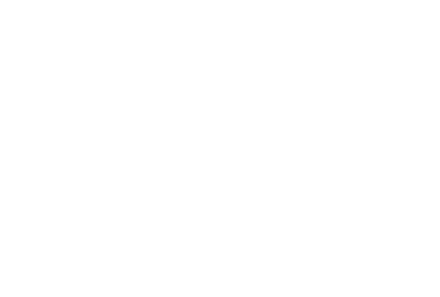 Il Sole 24 Ore - logo